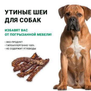 Утиные Шеи