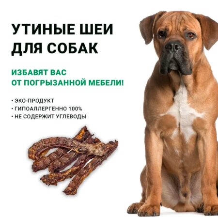 Утиные шеи