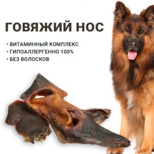 Говяжий Нос