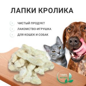 Лапки Кролика