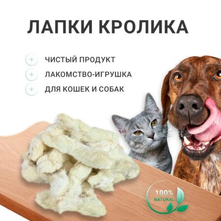 Лапки кролика